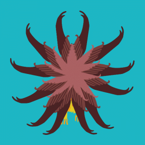 Geier_Bildanimation_III