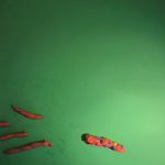 MggV_I_2017_Vorurteile_Raupe