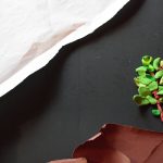 Check_In_2017_Trickfilm_XIII