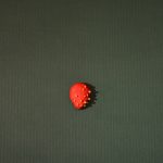 MggV_III_2017_Erdbeere_I