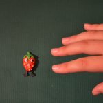 MggV_III_2017_Erdbeere_II