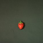 MggV_III_2017_Erdbeere_IV