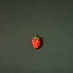 MggV_III_2017_Erdbeere_V