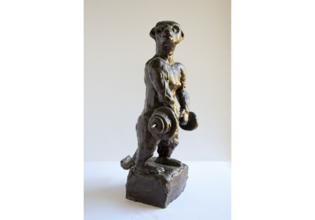 Erdmaennchen_Bodybuilder_SeitenansichtII