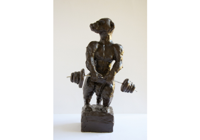 Erdmaennchen_Bodybuilder_Vorderansicht